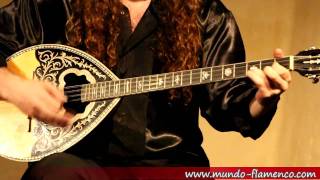 Bouzouki live improvisation [upl. by Eaner91]