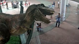 Jurassic Park  TRex Roar Rexy Best Roar [upl. by Homere]