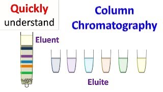 Column chromatography [upl. by Ratha]