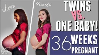 TWINS VS ONE BABY Comparing my Pregnancies  WEEK 36 UPDATE [upl. by Sanger]