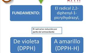 Actividad antioxidante técnica DPPH [upl. by Reena19]