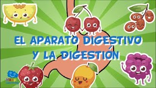 SISTEMA DIGESTIVO EN INGLES  Vídeos para niños BBTV60 [upl. by Noonan377]