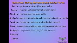 051MetamorphosisIntroduction [upl. by Aufa]