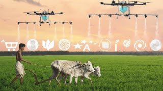 Top 10 Agritech Startups Empowering Indian Farmers [upl. by Aisatnaf]