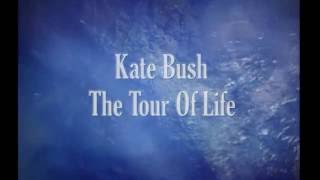 KATE BUSH  TOUR OF LIFE complete show  1979  my edit [upl. by Eanore583]