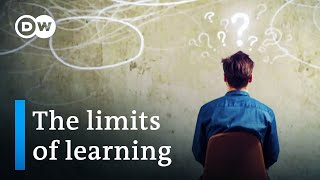 The limits of learning – kids in crisis  DW Documentary [upl. by Coombs669]