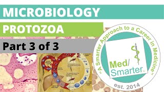 Protozoa  Microbiology  USMLE STEP 1  Part 3 of 3 [upl. by Aisak]