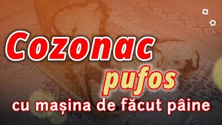 Cum am facut primul COZONAC pufos cu masina de paine [upl. by Namzed551]