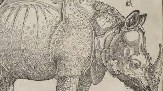 Rhinoceros Albrecht Dürer 1515 [upl. by Giselbert]