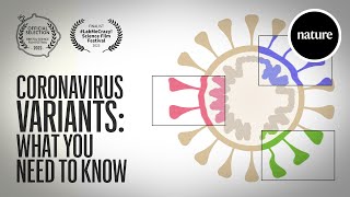 Coronavirus variants What you need to know [upl. by Haya]