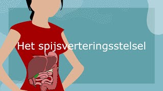 Het spijsverteringsstelsel [upl. by Oknuj]