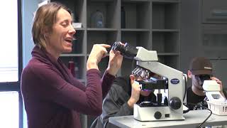 Viewing specimens using the Compound Microscope [upl. by Koenig]