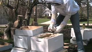 Installing Package Bees [upl. by Hubbard]