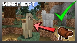 MINECRAFT  How to Get a Llama Saddle 1151 [upl. by Annovoj]