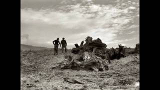 Dorothea Lange Great Collection  HQ photos [upl. by Beitris526]