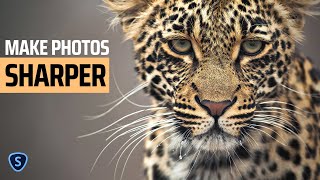 How To Use TOPAZ SHARPEN AI in Lightroom [upl. by Zack318]