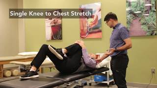 Wellstar OrthoSport How to Stretch for Sciatica Pain Relief [upl. by Aliehs]