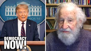 Noam Chomsky Under Trumps tinpot dictatorship corporate power rules all [upl. by Ynattib]