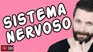 SISTEMA NERVOSO  FISIOLOGIA  Aula  Biologia com Samuel Cunha [upl. by Odnumyer]