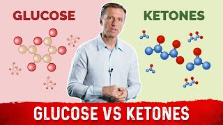 Testing Glucose or Ketones Which is More Important [upl. by Ecinnaj422]