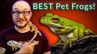 Top 5 BEST Pet Frogs  100K Subscriber Silver Play Button Reveal [upl. by Ateuqahs]