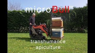 microBull™  Transhumance Apiculture [upl. by Ernesto106]