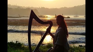 Inisheer  Irish ballad  Celtic harp amp low whistle [upl. by Mazonson]