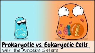 Prokaryotic vs Eukaryotic Cells Updated [upl. by Ymmaj]