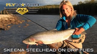 Fly Nation Skeena Steelhead on Dry Flies [upl. by Eckmann938]