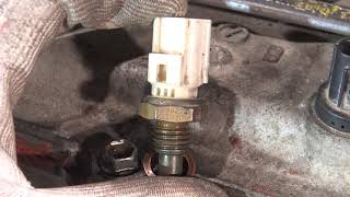 How to replace engine TEMP sensor Years 2000 to 2018 [upl. by Bazluke]