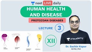 Human Health amp Disease  L3  Protozoan Disease  Unacademy NEET  LIVE DAILY  Biology  Sachin Sir [upl. by Jonie]