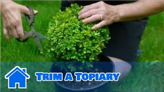 Maintaining amp Pruning Shrubs  How to Trim a Topiary [upl. by Schlessinger764]