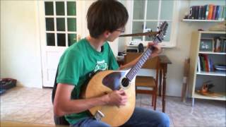 Irish Bouzouki  Morrisons Jig [upl. by Ainuj866]