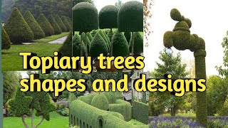 Garden Topiary Tree Shapes and Designs [upl. by Mellins]