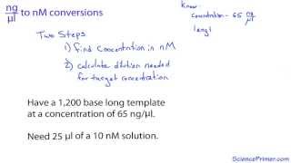 nanogram per microliter to nanomolar conversion [upl. by Barri232]