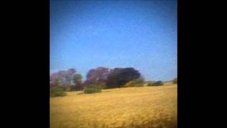 Sun Kil Moon  Dogs [upl. by Mirilla]