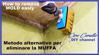 ELIMINARE la MUFFA tutorial rimozione muffa veloce Remove MOLD with little expense AlcasItalia [upl. by Larok872]