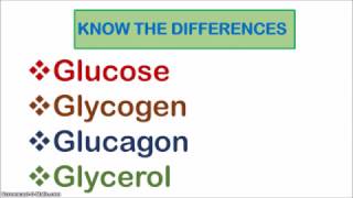 Glucose Glycogen Glucagon and Glycerol [upl. by Maisie]