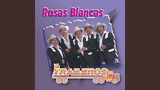 Rosas Blancas [upl. by Noivad]