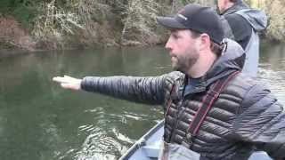 Olympic Peninsula Steelhead [upl. by Yllime619]