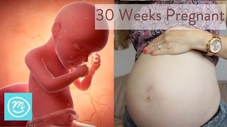 30 Weeks Pregnant What You Need To Know  Channel Mum [upl. by Assel]