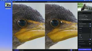 Topaz Photo AI Quick Start Video [upl. by Aihsal]