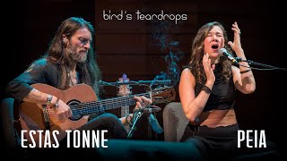 Birds Teardrops  Estas Tonne feat Peia  Ashland Oregon 2018 [upl. by Bray381]