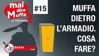 Muffa dietro larmadio Cosa fare [upl. by Aihsatal]