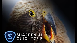 How to use Topaz Sharpen AI [upl. by Omrellug]