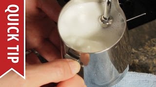 How to AutoFroth Milk for Lattes [upl. by Ennaitsirhc681]