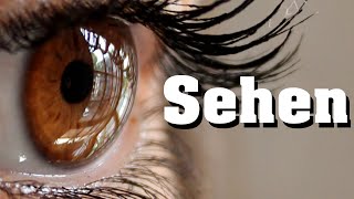 Sehen  Sehvorgang schnell erklärt [upl. by Ralf581]