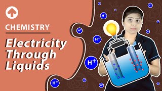 Electricity through Liquids  Chemistry [upl. by Konstanze975]