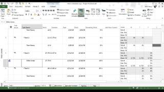 Updating Project Progress with Microsoft Project [upl. by Adnahsal]