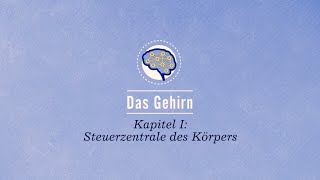 Das Gehirn Steuerzentrale des Körpers [upl. by Aropizt781]